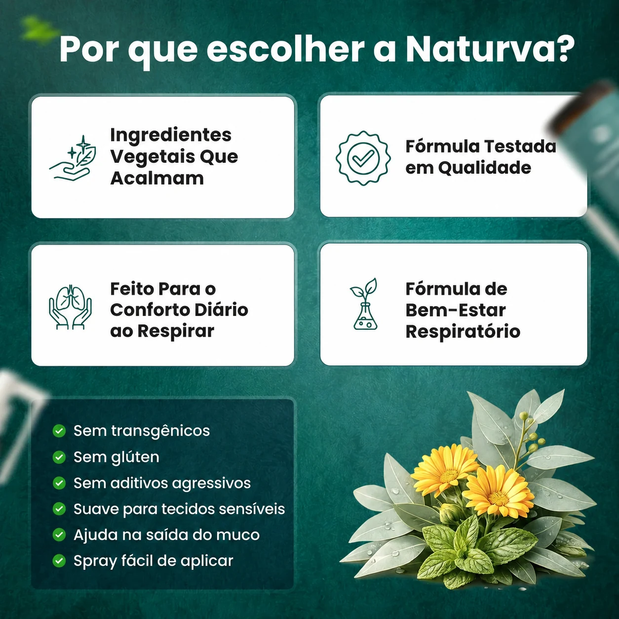 Por que a Naturva: ingredientes de origem vegetal e fórmula testada em qualidade